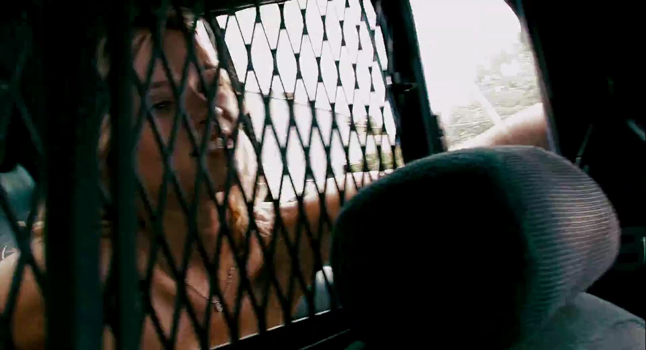Crank 2: High Voltage