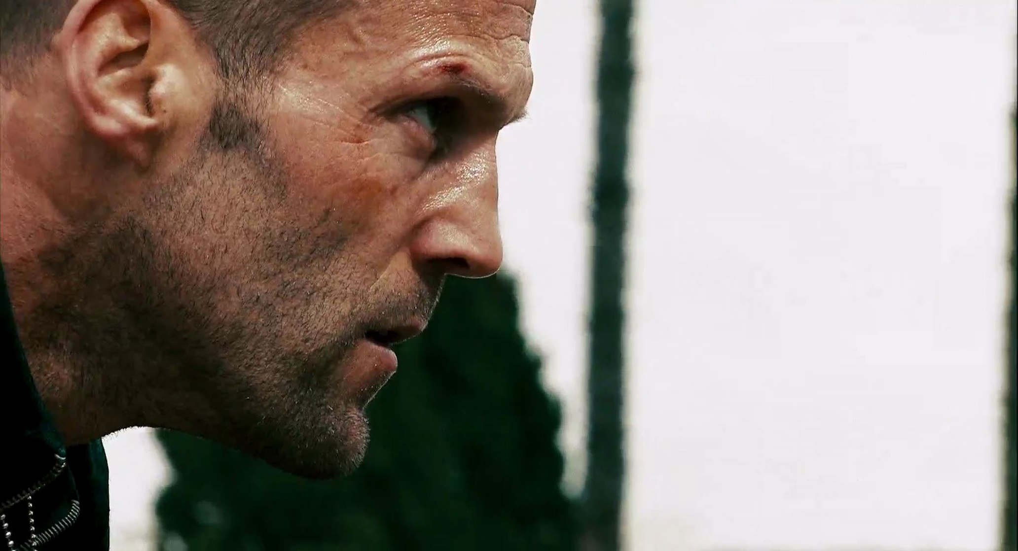 Crank 2: High Voltage