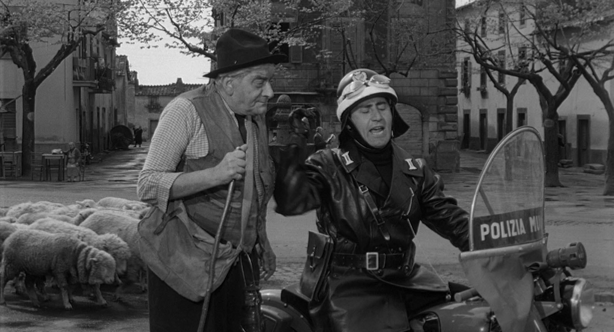 The Traffic Policeman The Traffic Policeman