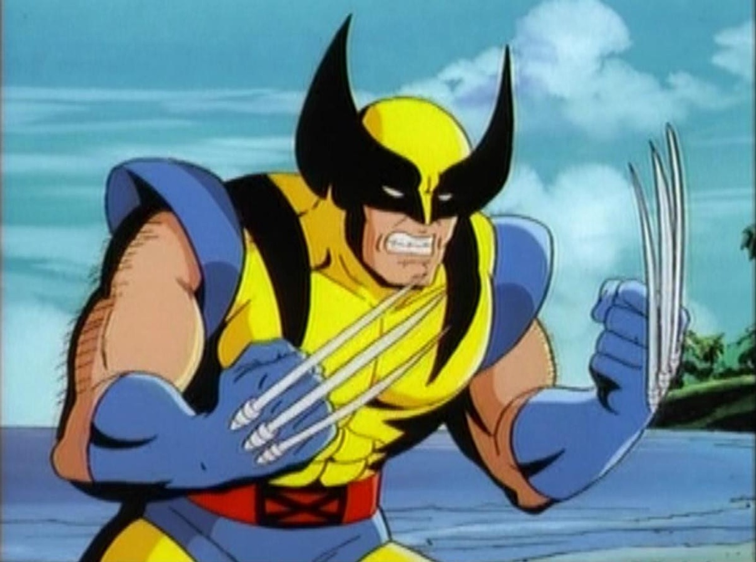 X-Men: The Animated Series X-Men: The Animated Series