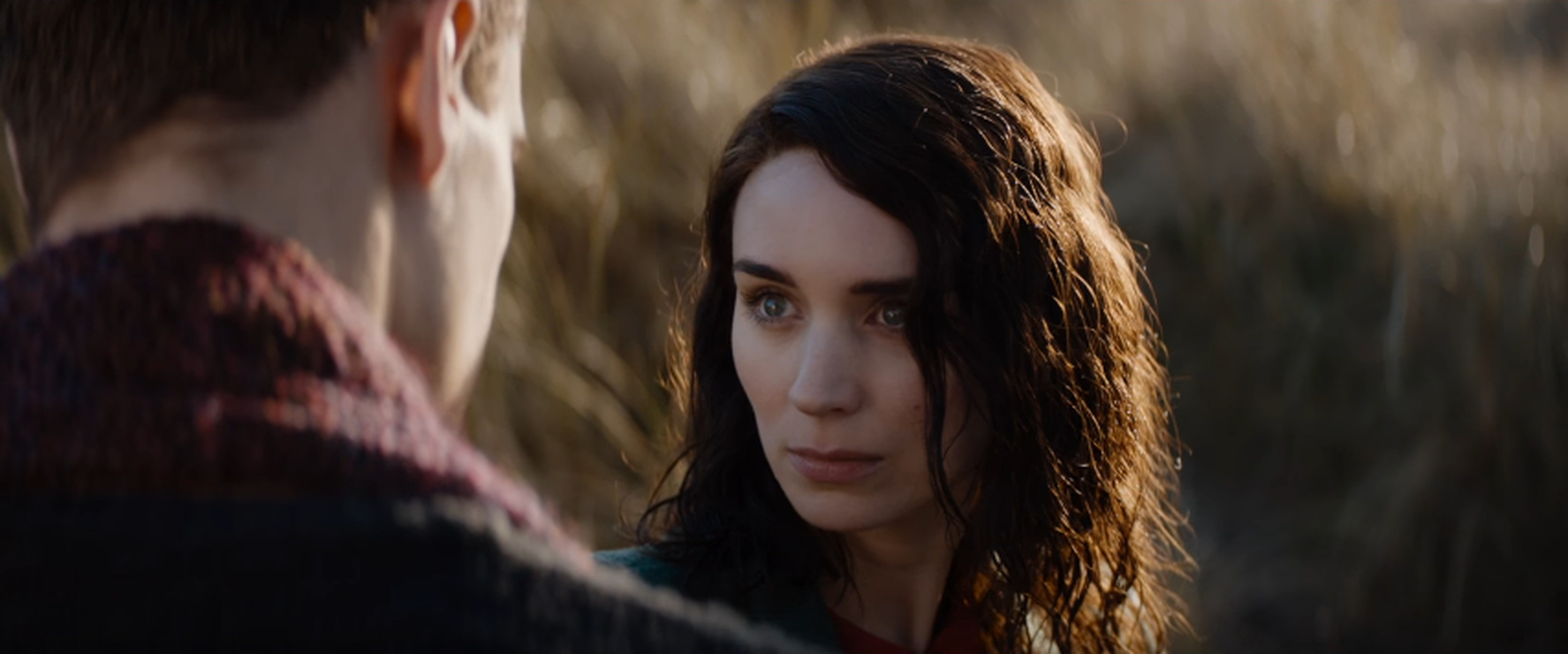 Picture of The Secret Scripture (2016)