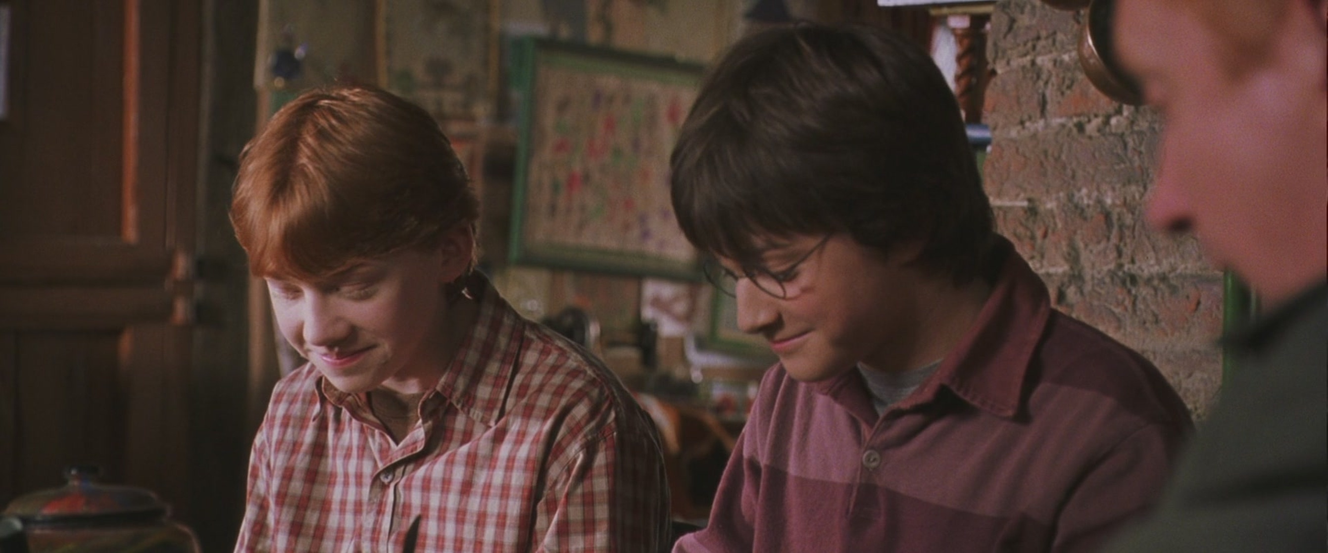Harry Potter and the Chamber of Secrets