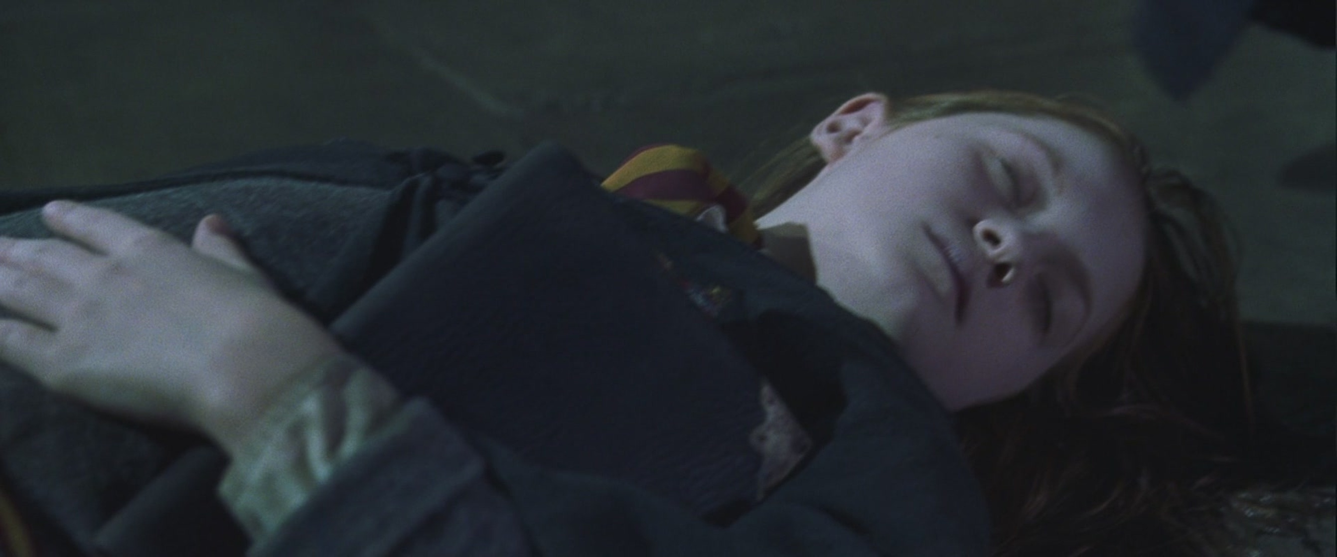 Harry Potter and the Chamber of Secrets