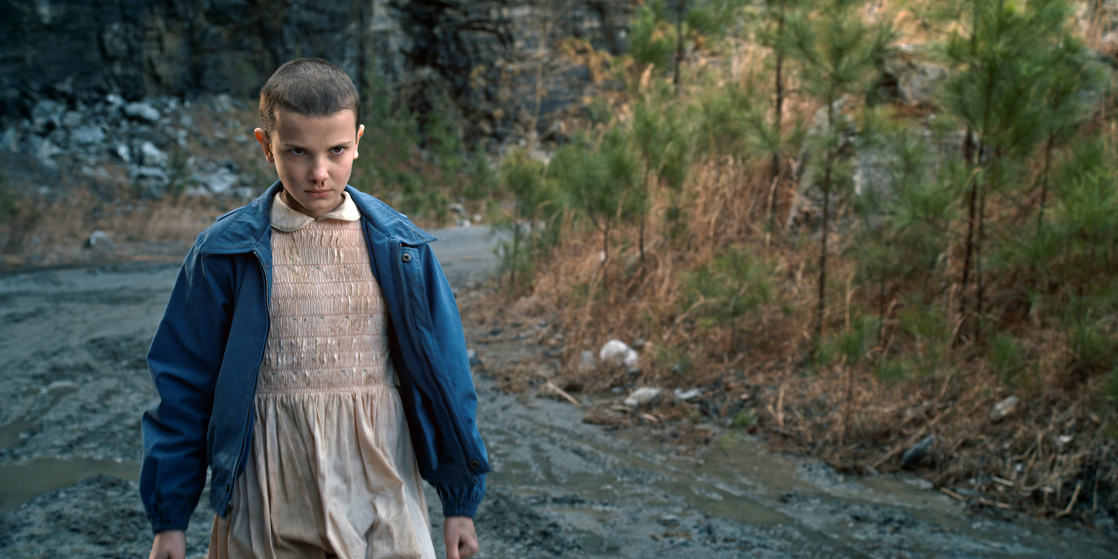 Eleven (duplicate)