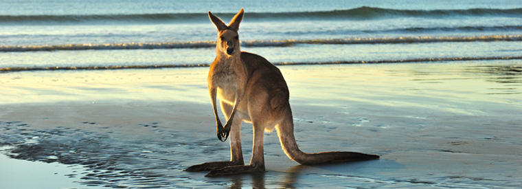 Australia Australia