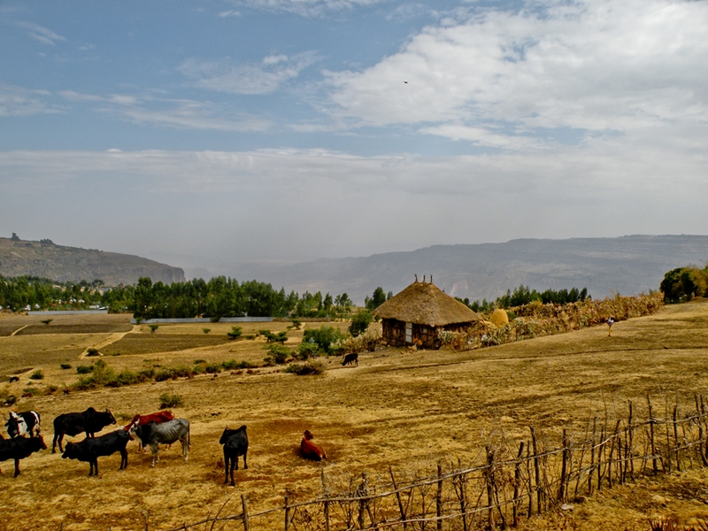 Ethiopia