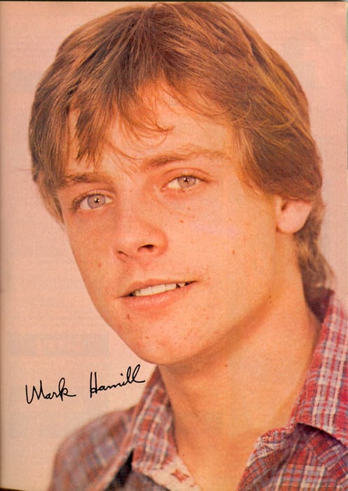 mark hamill he man