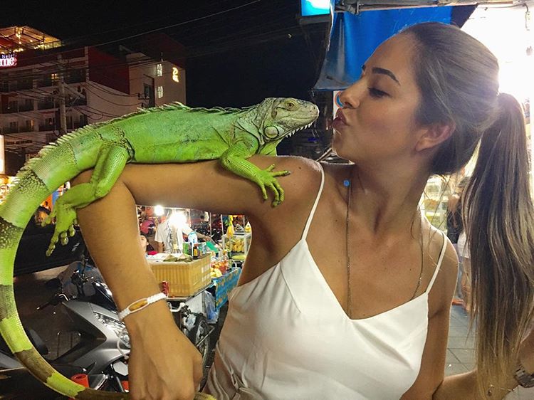 Carol Chafauzer Carol Chafauzer