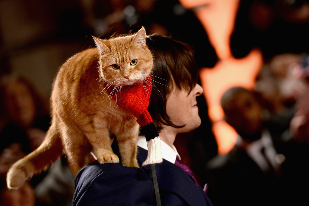 A Street Cat Named Bob A Street Cat Named Bob