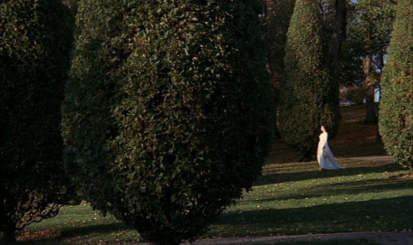 Cries and Whispers