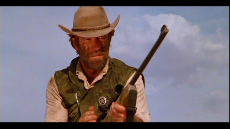 Lone Wolf McQuade