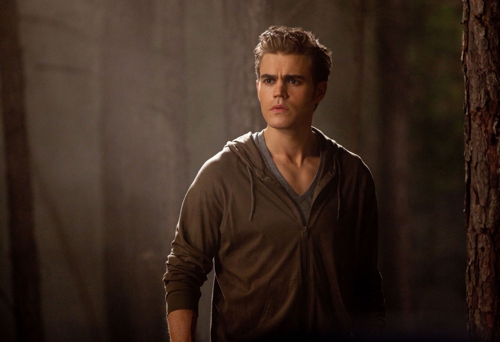 The Vampire Diaries