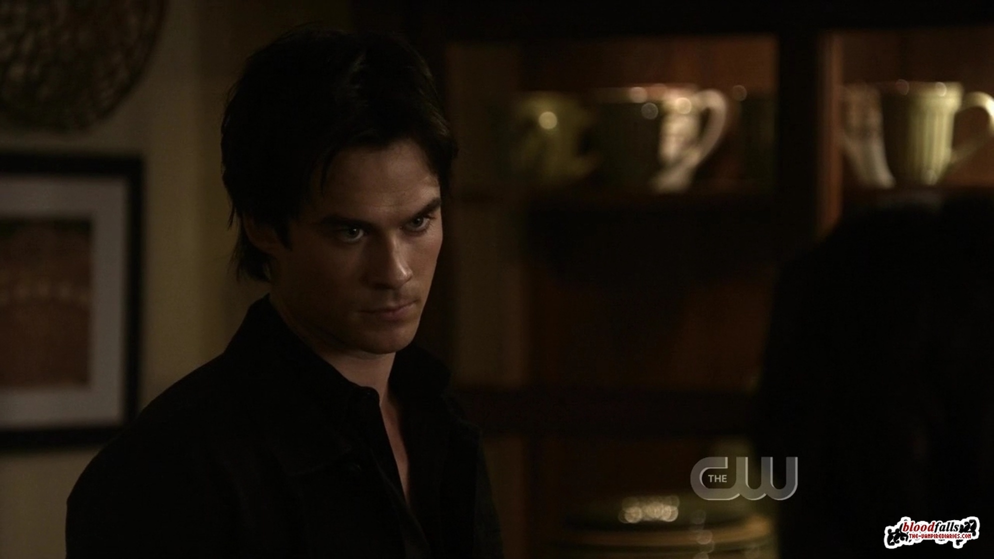 The Vampire Diaries