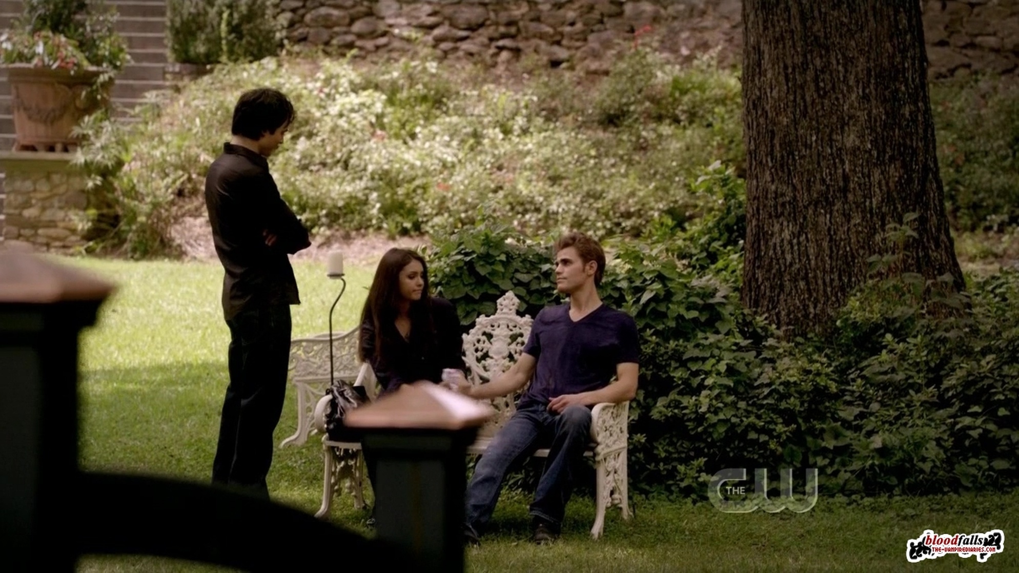 The Vampire Diaries