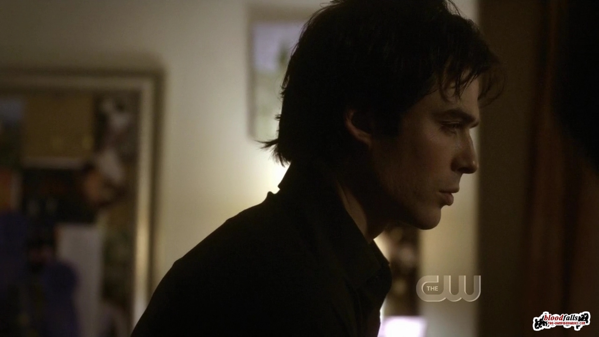 The Vampire Diaries