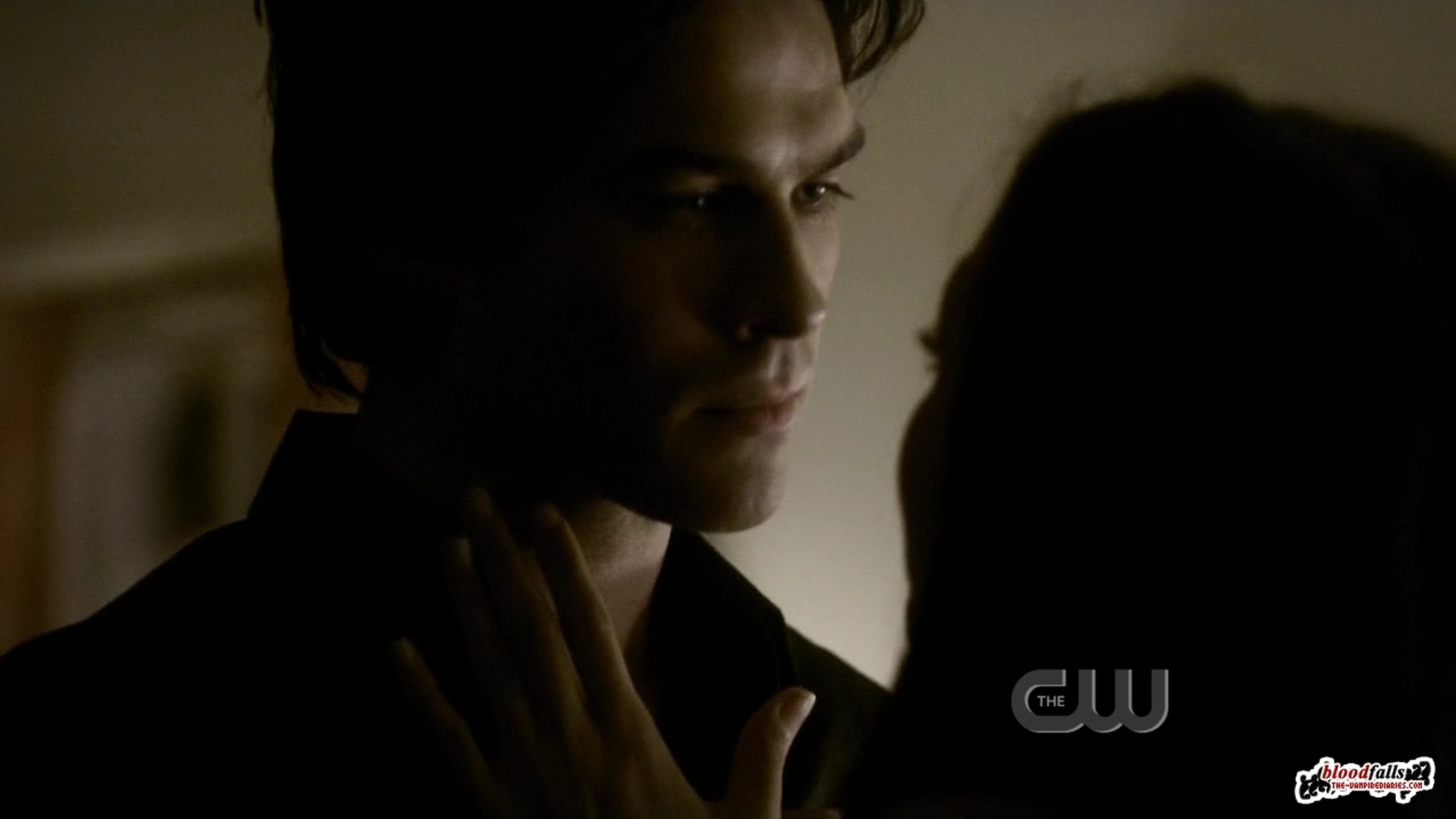 The Vampire Diaries