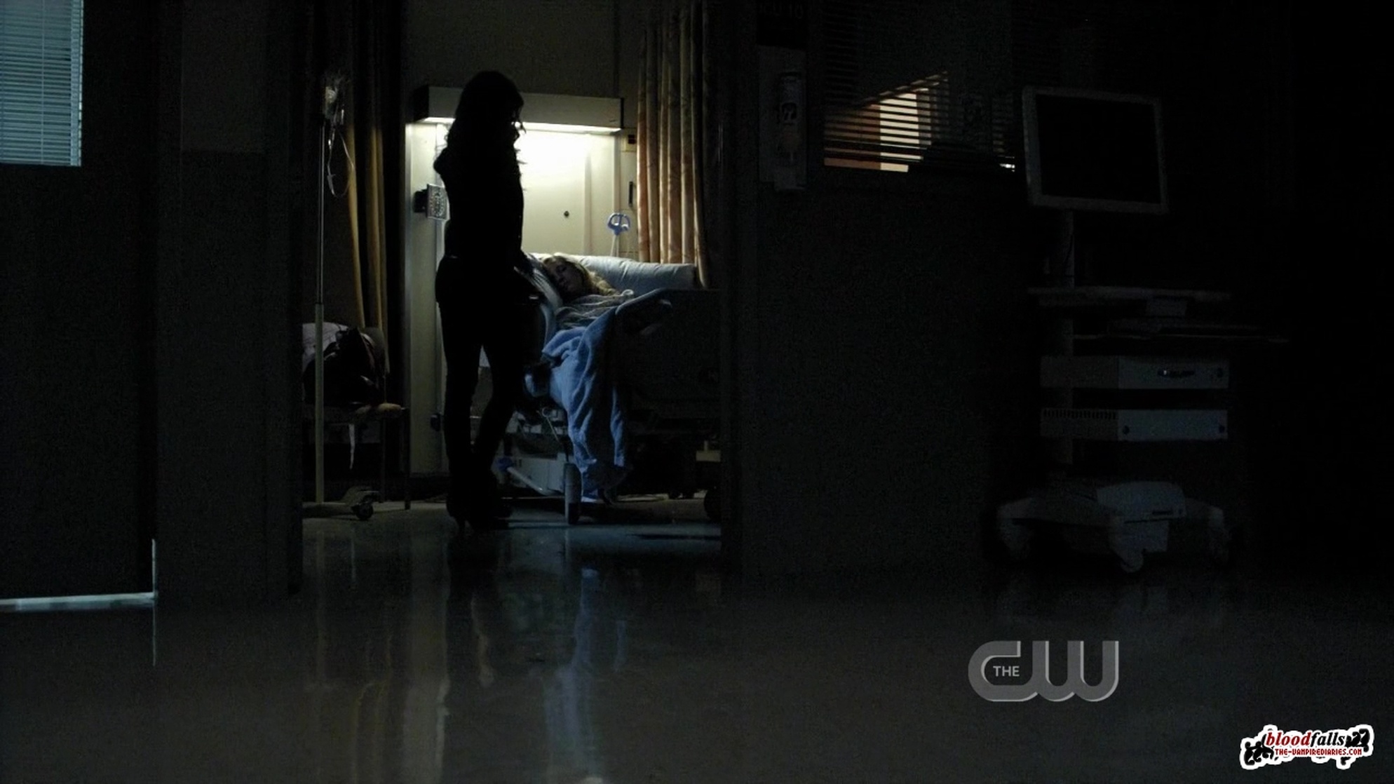The Vampire Diaries