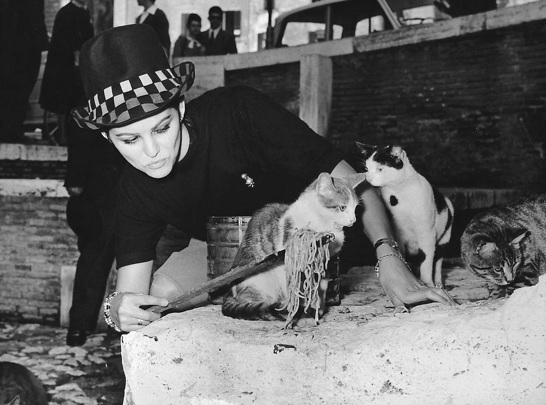 Claudia Cardinale Claudia Cardinale
