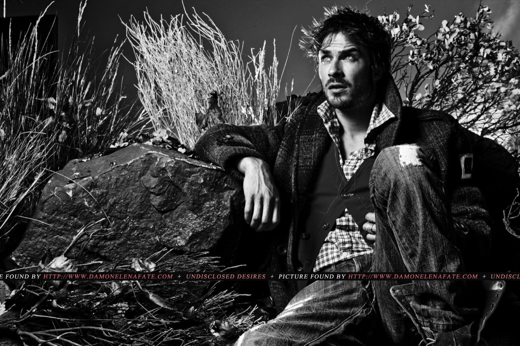 Ian Somerhalder