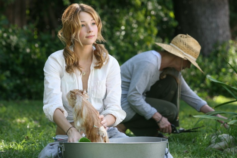 Haley Bennett Haley Bennett