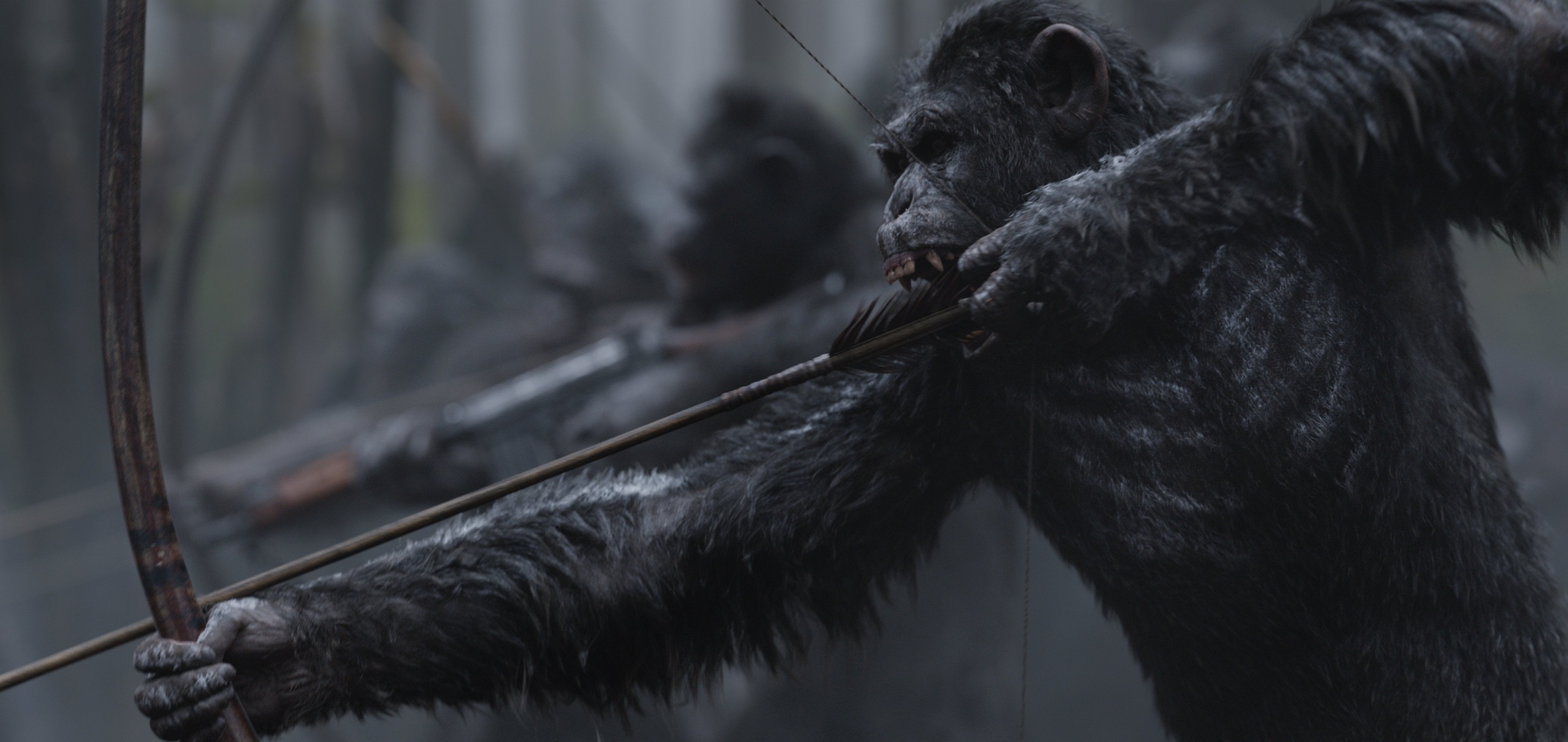 War for the Planet of the Apes War for the Planet of the Apes