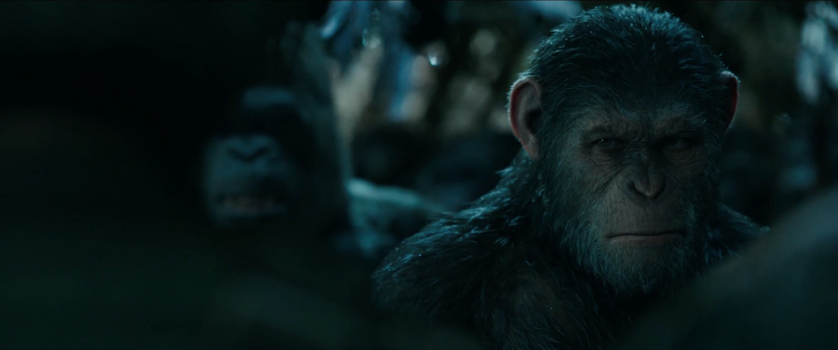 War for the Planet of the Apes War for the Planet of the Apes