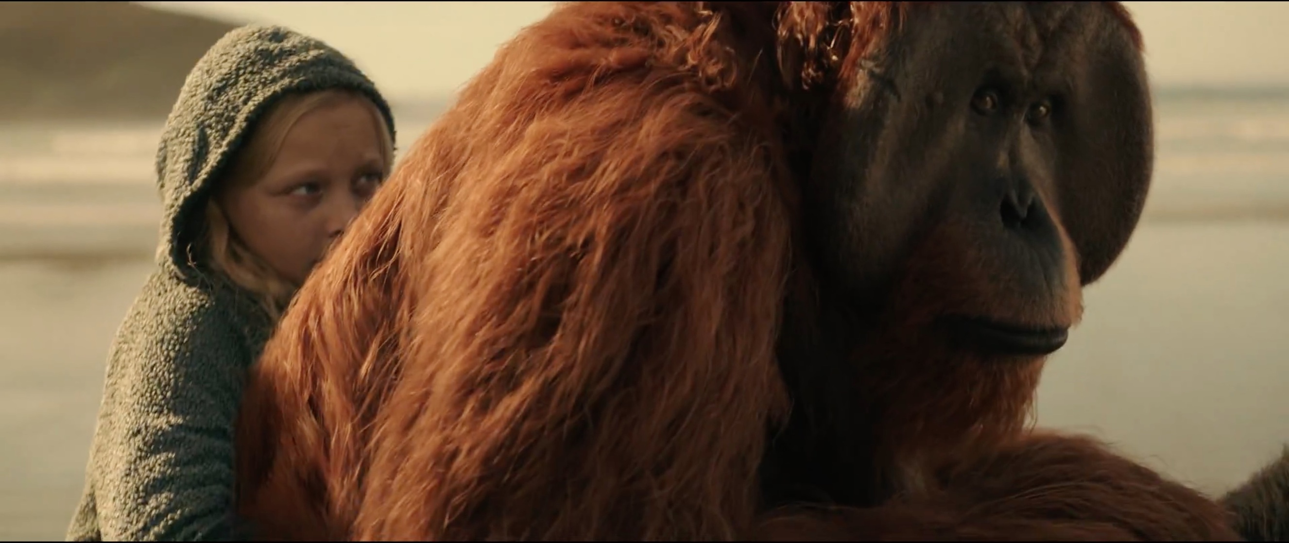 War for the Planet of the Apes War for the Planet of the Apes