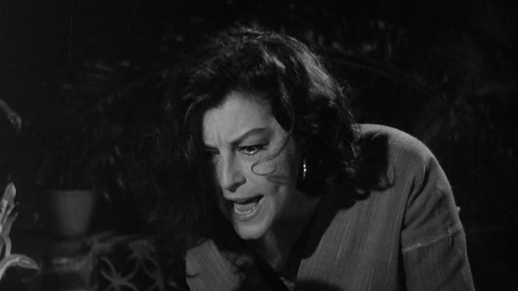 The Night of the Iguana (1964)