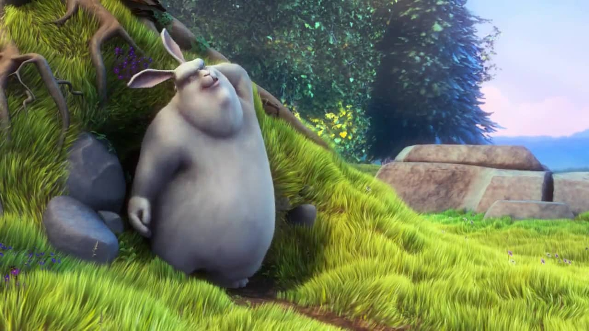 Big Buck Bunny Big Buck Bunny