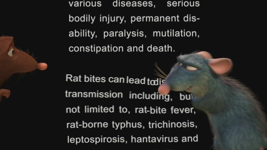 Your Friend the Rat