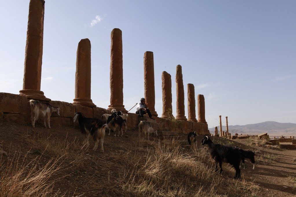 Timgad Timgad