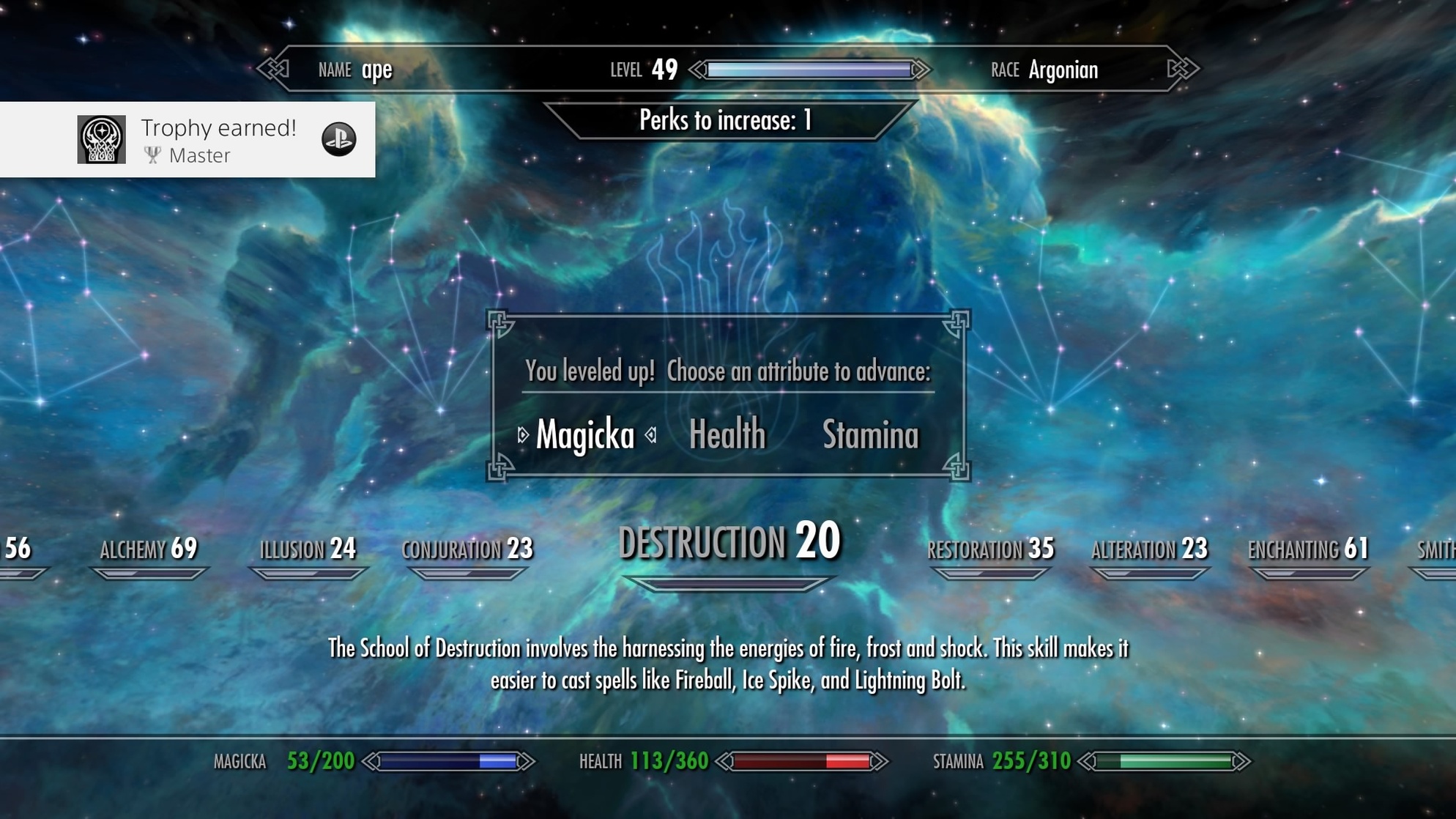 The Elder Scrolls V: Skyrim Special Edition
