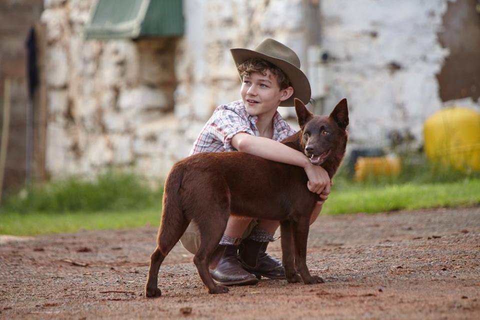 Levi Miller