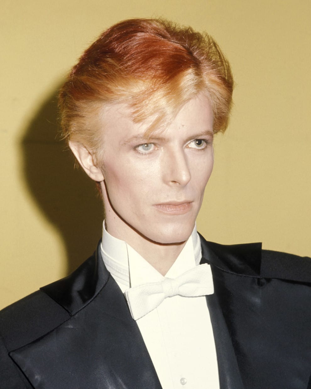 David Bowie