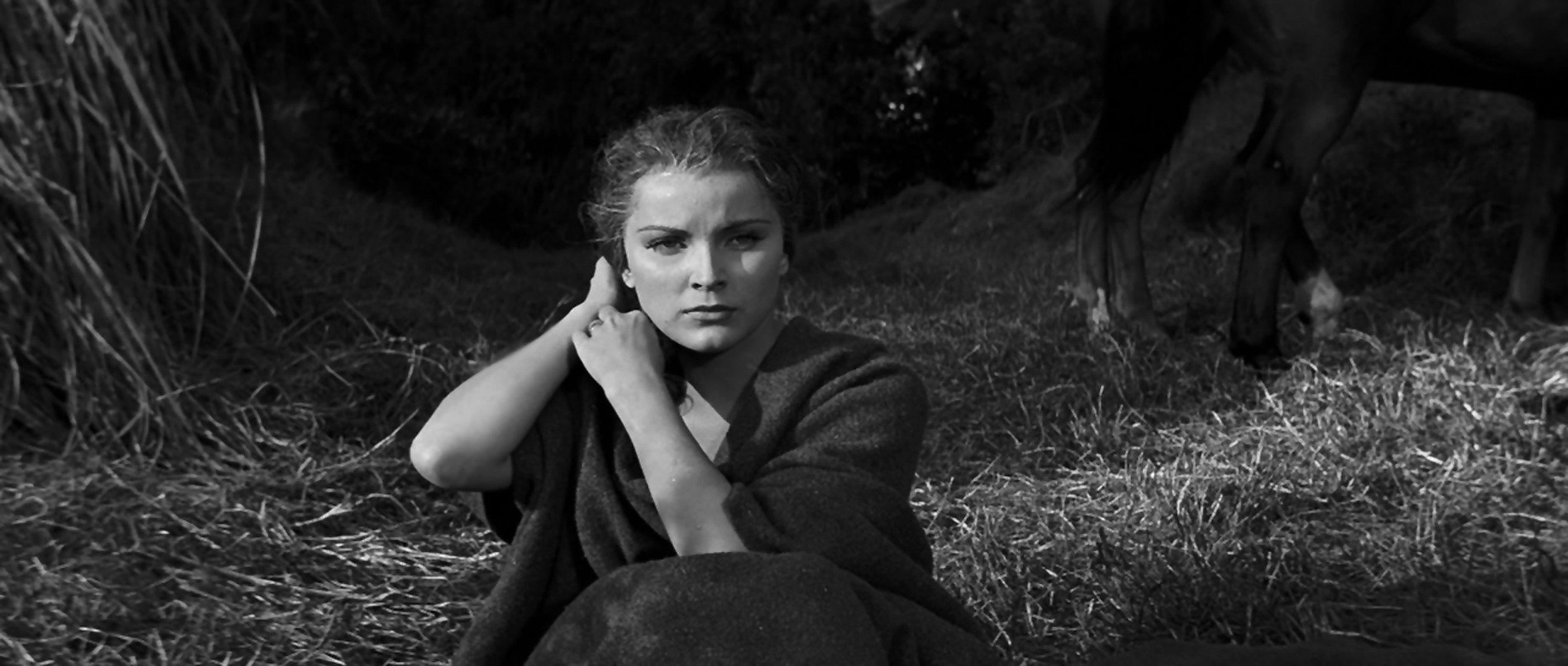 Love Me Tender (1956) Love Me Tender (1956)