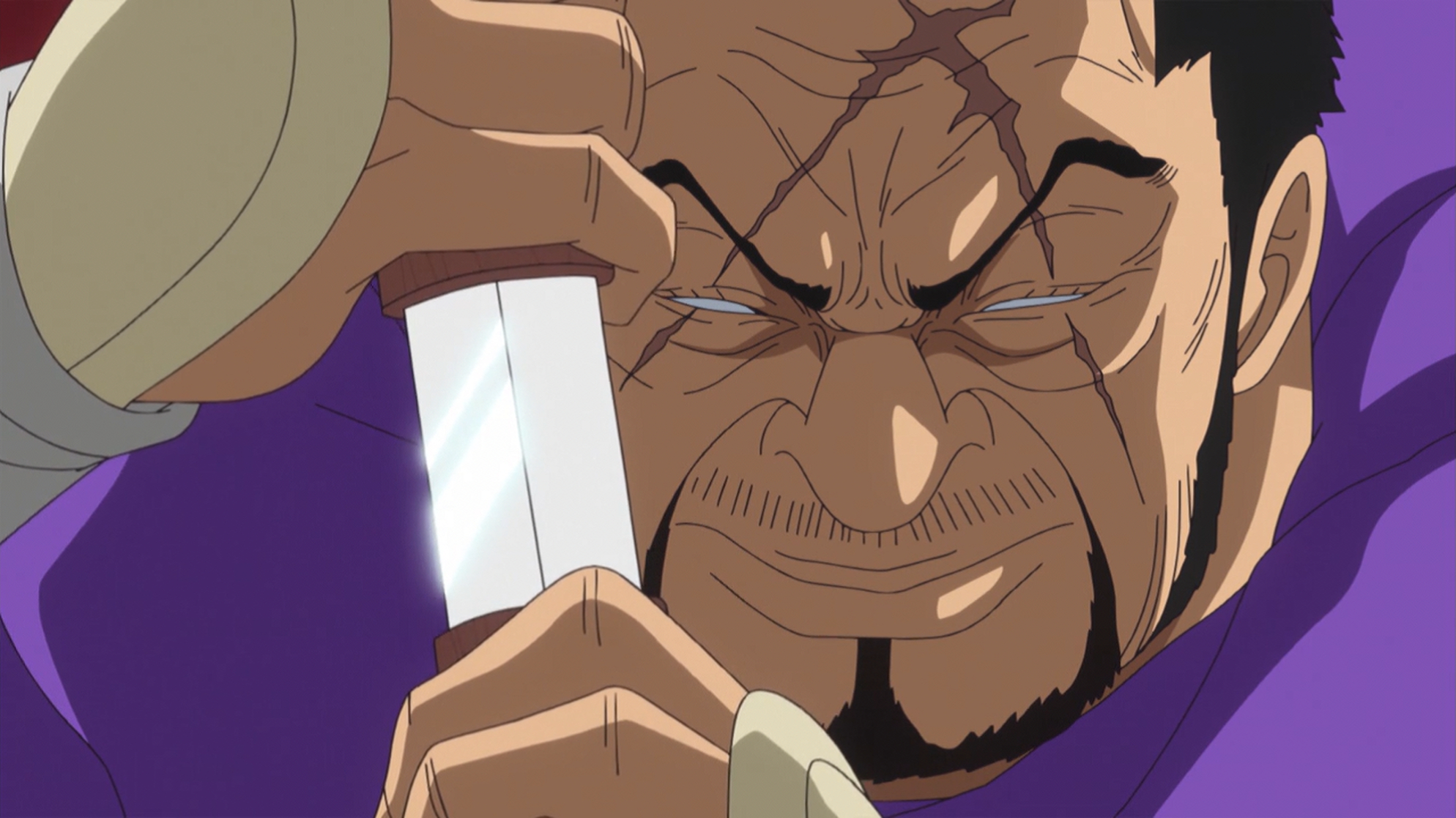 Issho Fujitora