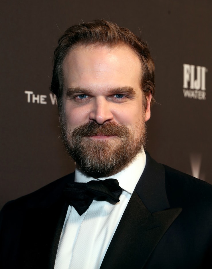 Picture of David Harbour