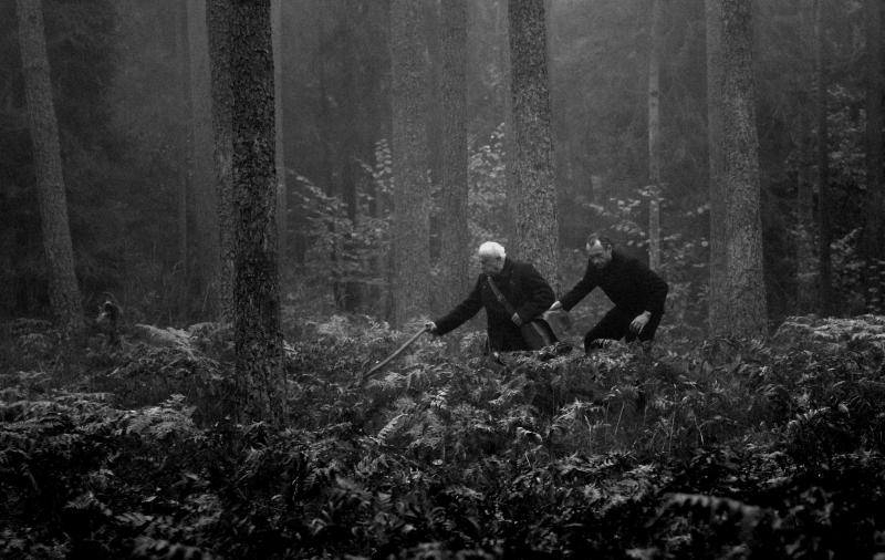 The Forest (2009)