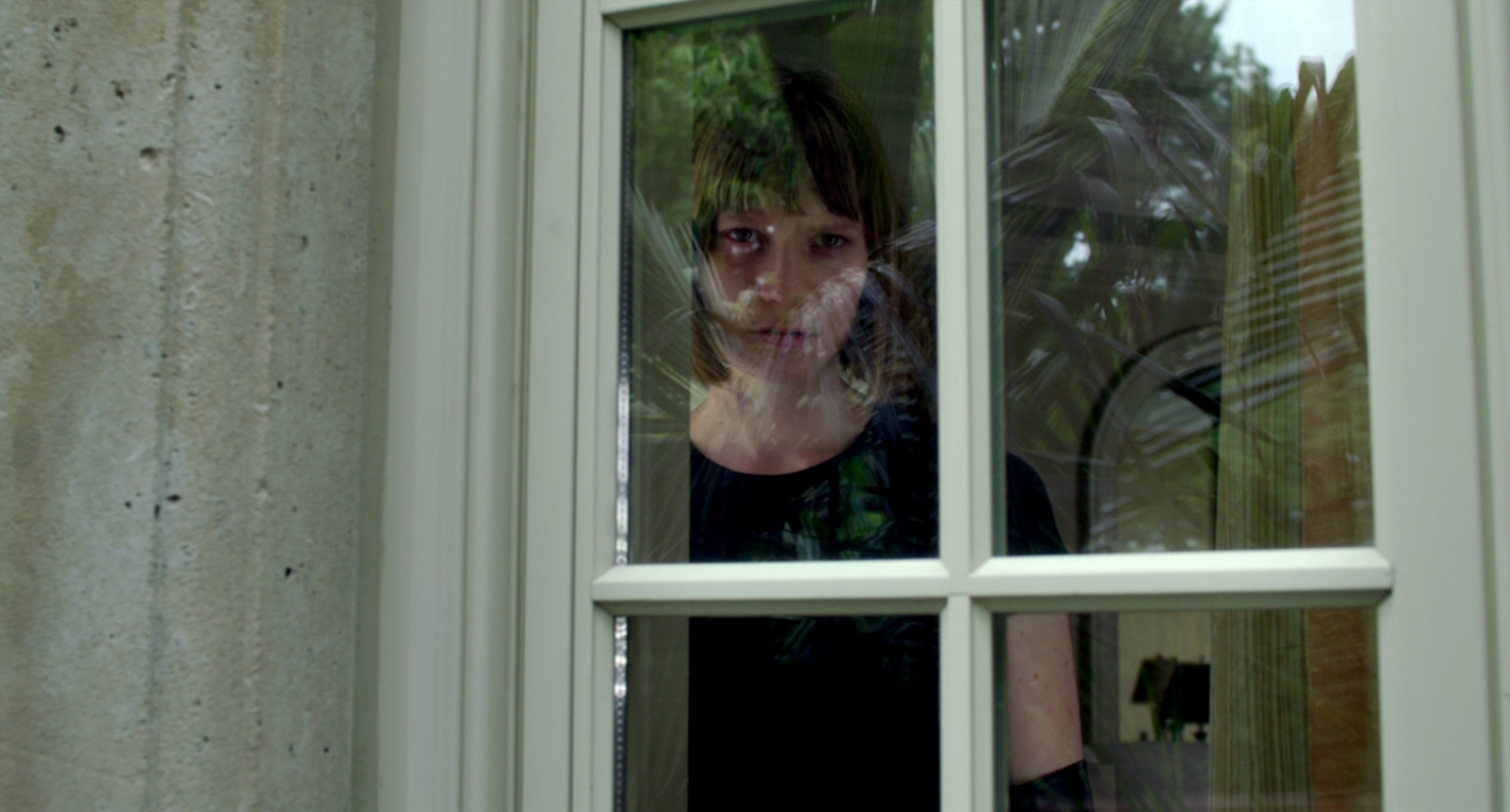 Maps to the Stars