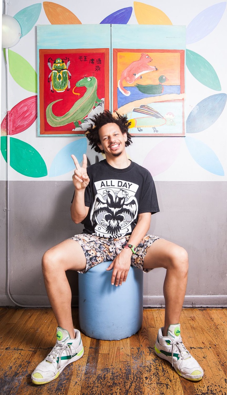 Picture of Eric André