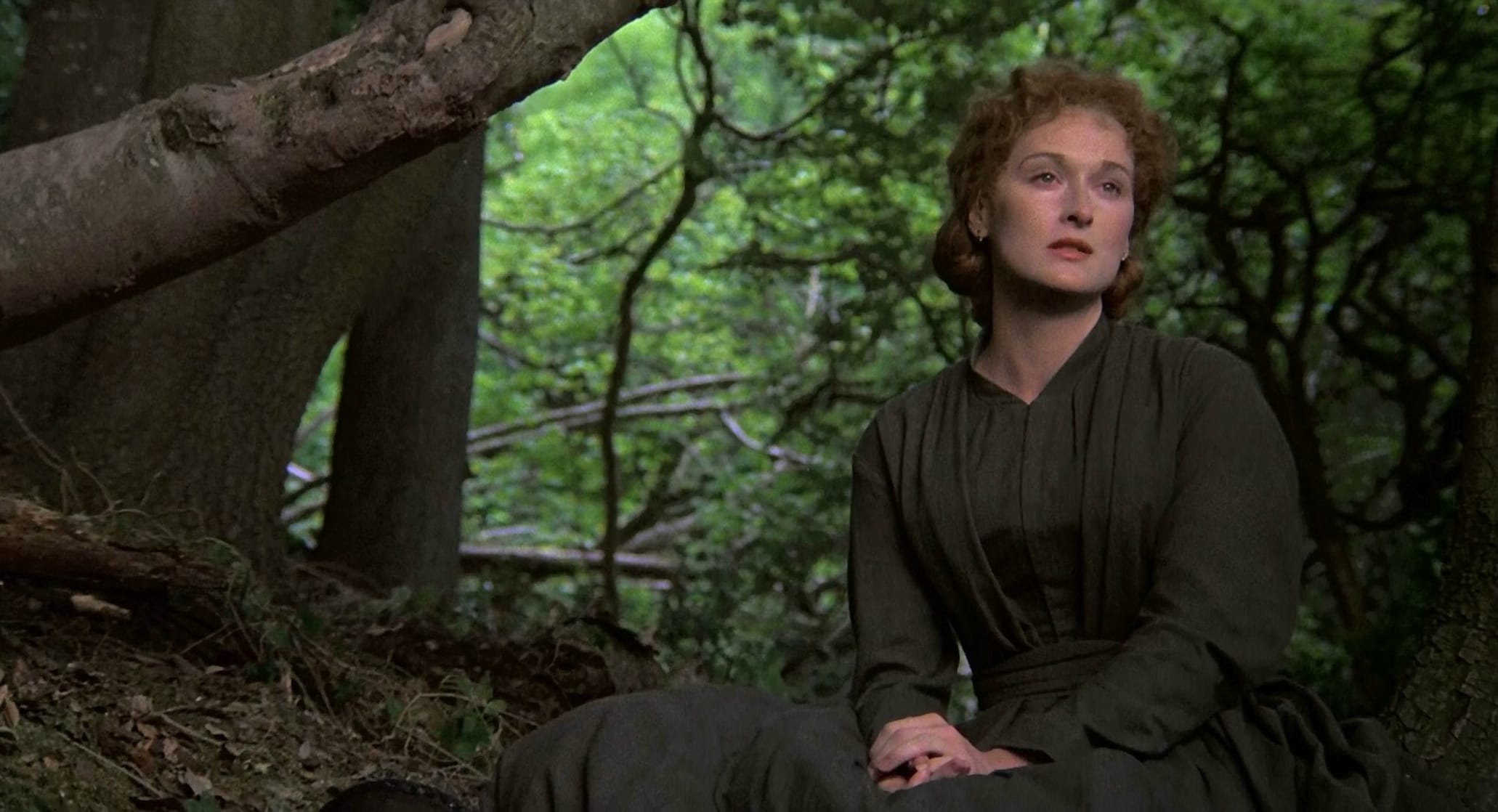 Picture of The French Lieutenant's Woman