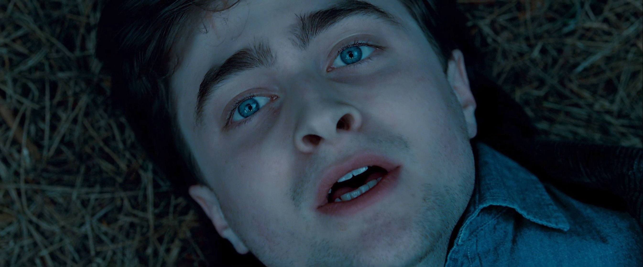 Harry Potter and the Deathly Hallows: Part 1