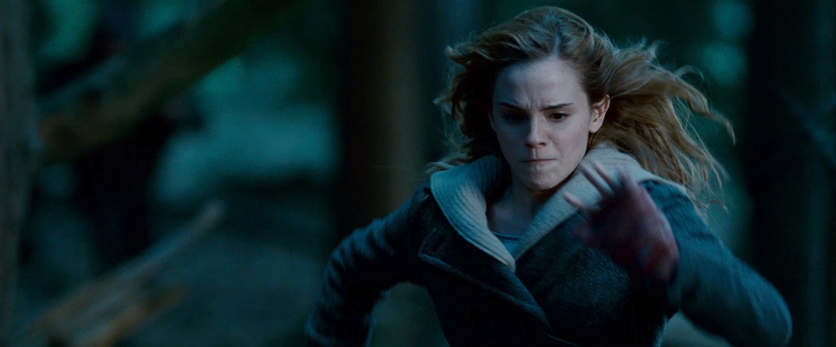 Harry Potter and the Deathly Hallows: Part 1 Harry Potter and the Deathly Hallows: Part 1