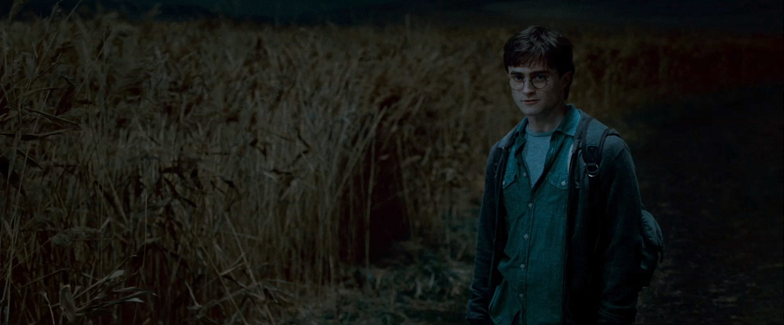 Harry Potter and the Deathly Hallows: Part 1