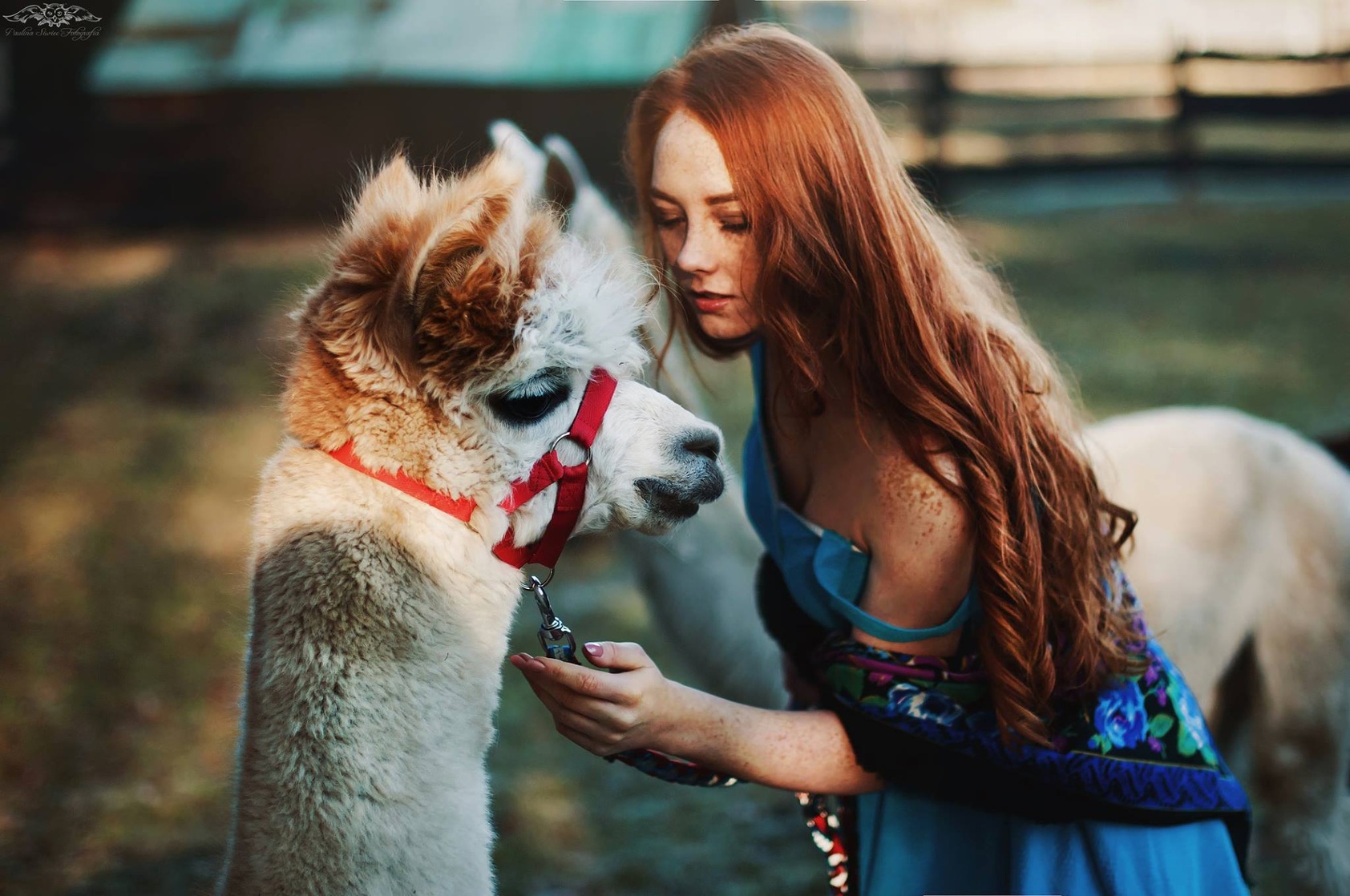 Magdalena Przybyla Magdalena Przybyla
