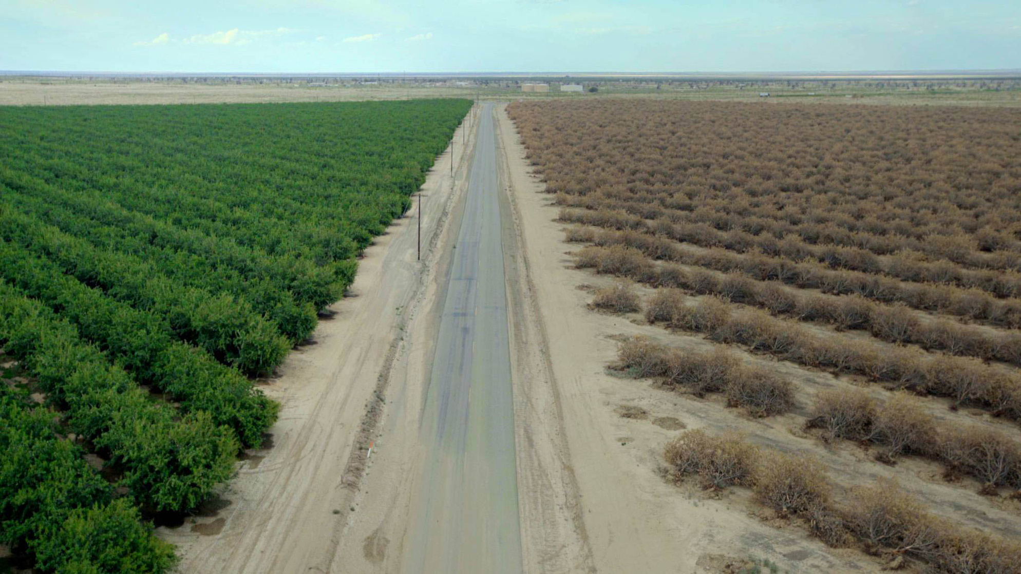 Water  Power: A California Heist