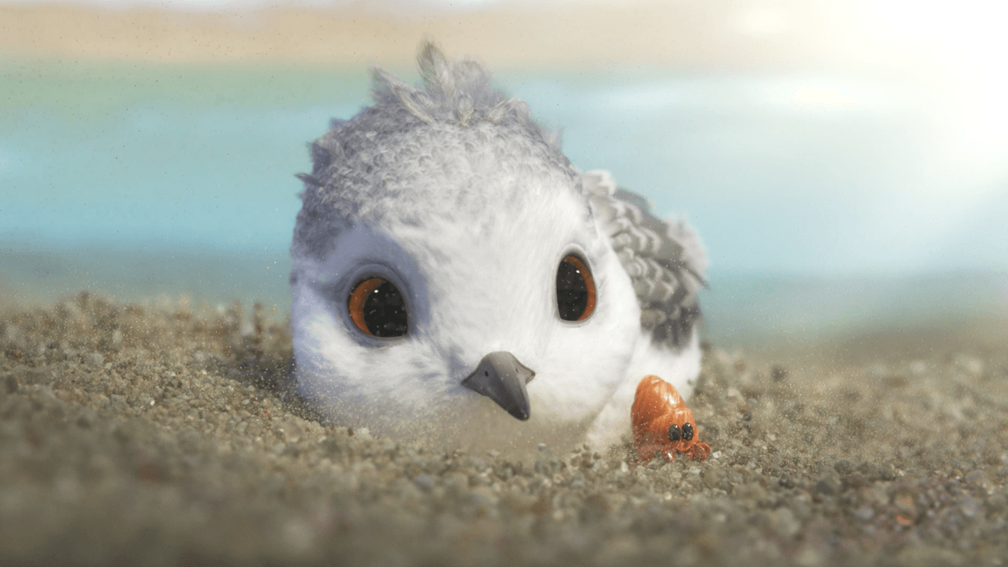 Piper