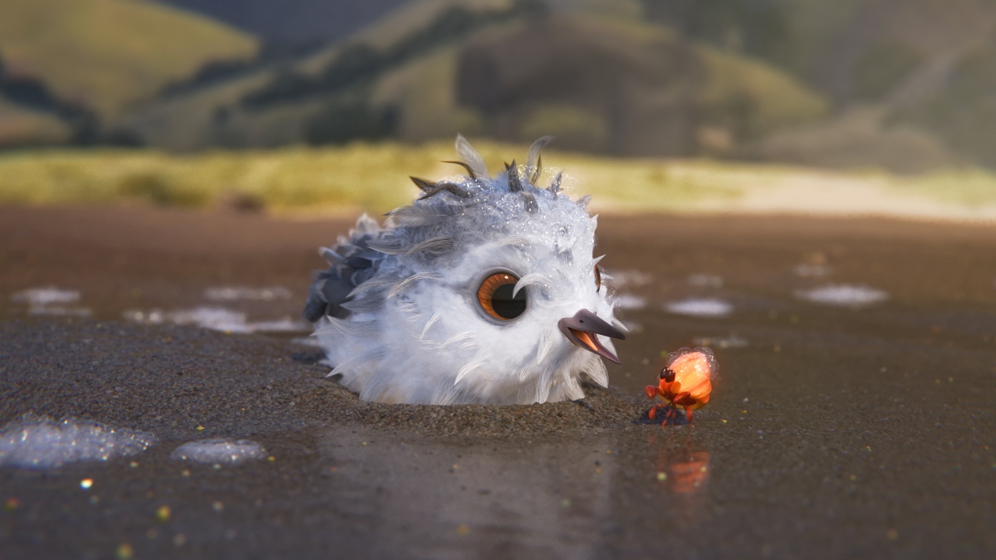Piper