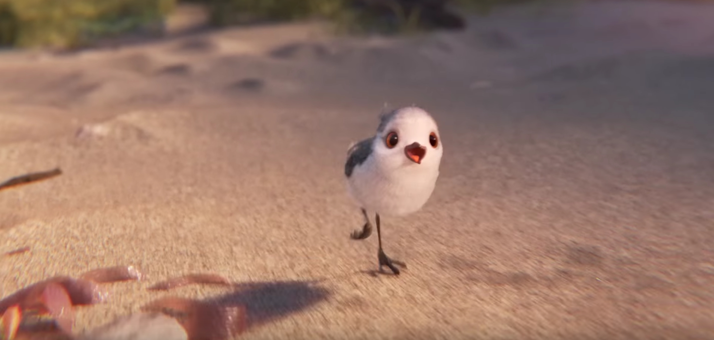 Piper