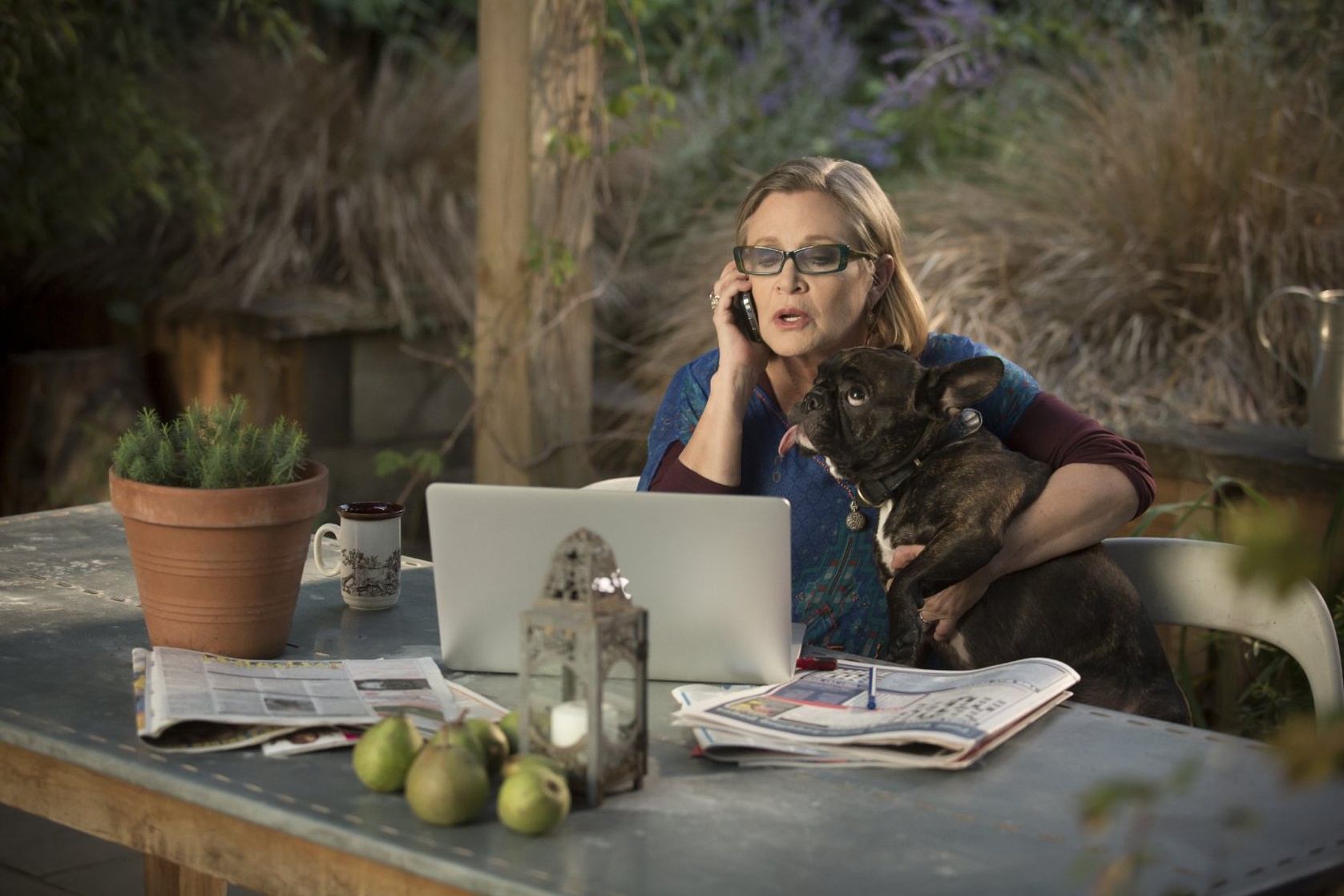 Catastrophe                                  (2015- )